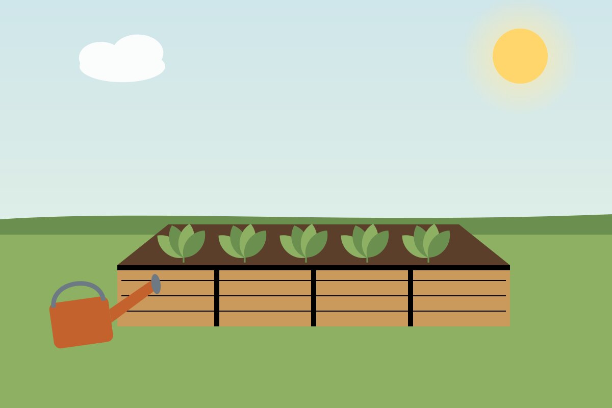 A wooden raised bed filled with young plants