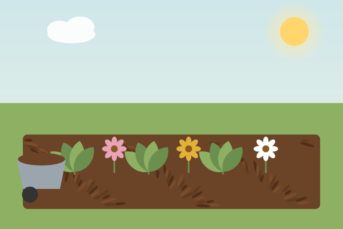 A planted garden bed covered in dark mulch with a wheelbarrow
