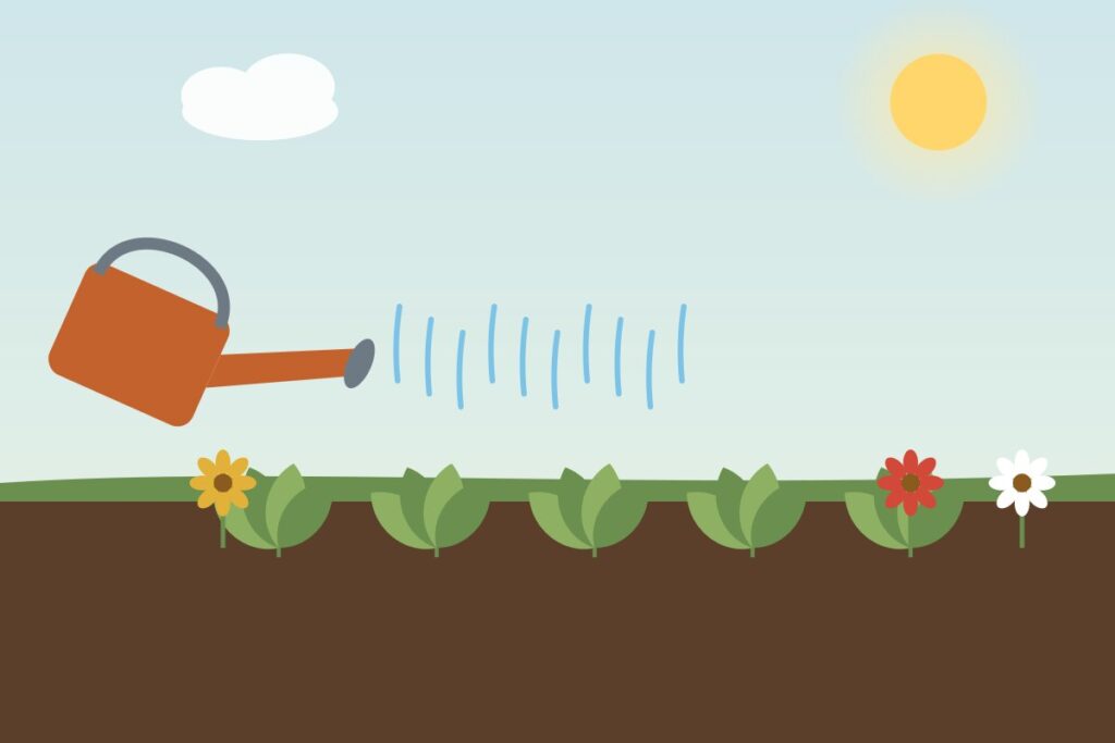 A watering can pouring water over garden plants