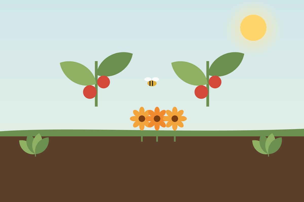Companion Planting: What Works and What Is a Myth