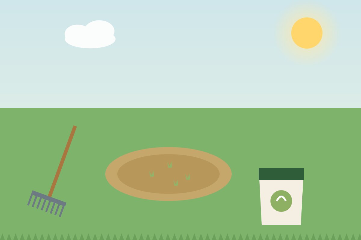 How to Fix a Patchy Lawn
