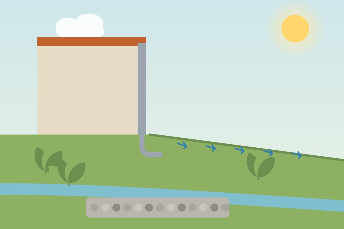 Drainage Problems in the Yard: Signs and Solutions
